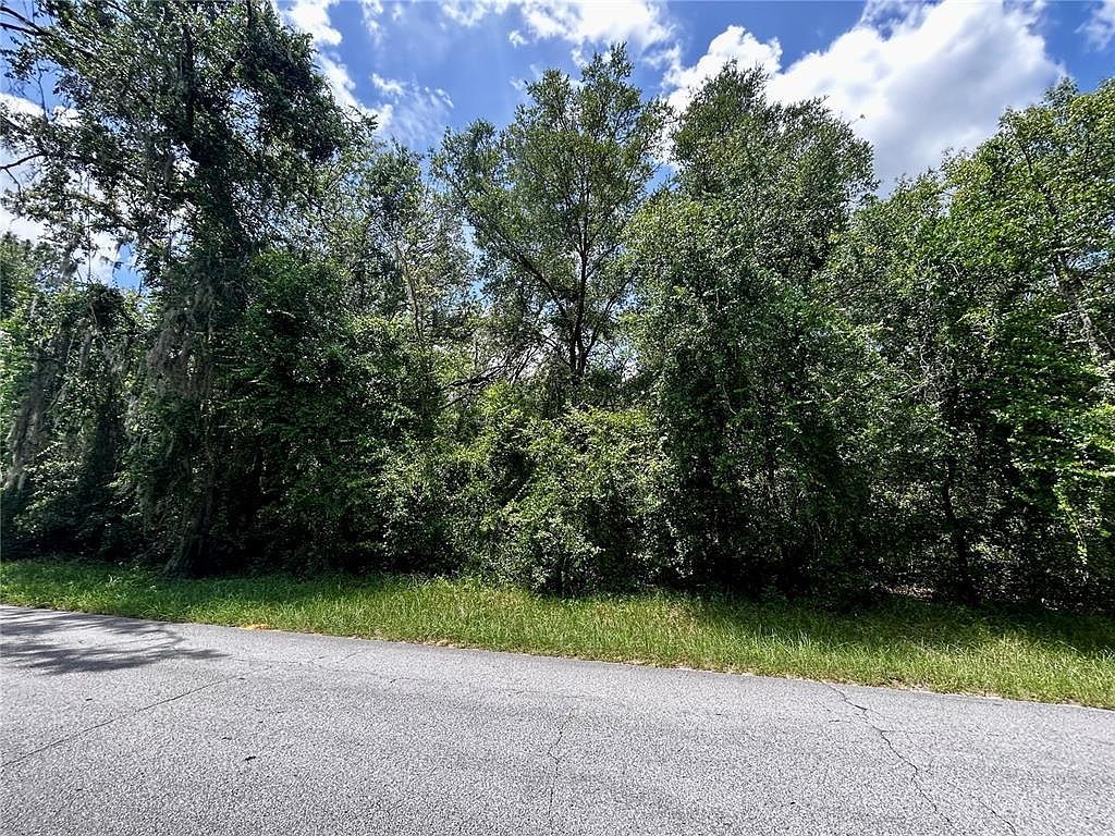 2406 N Pine Cone Ave LOT 67 Lecanto, FL 34461 - Thumbnail 3