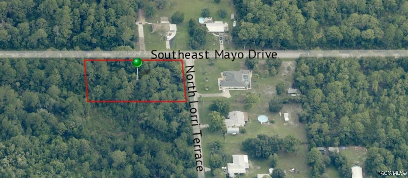 1172 N Lorri Ter Crystal River, FL 34429 - Thumbnail 3