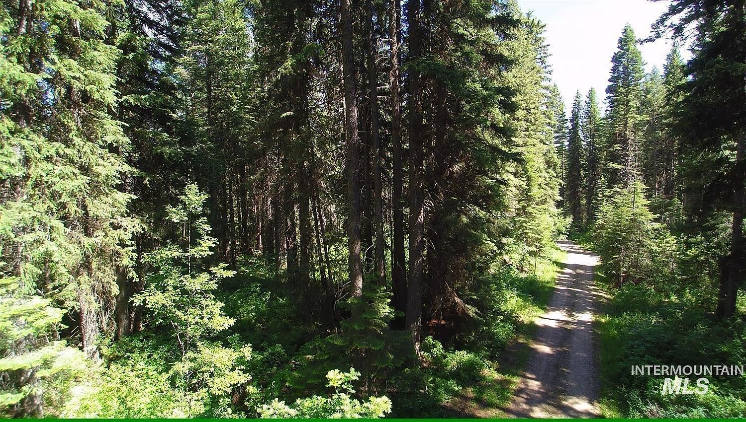 1790 Lake Trail Dr, Donnelly, ID, 83615 - Thumbnail 3