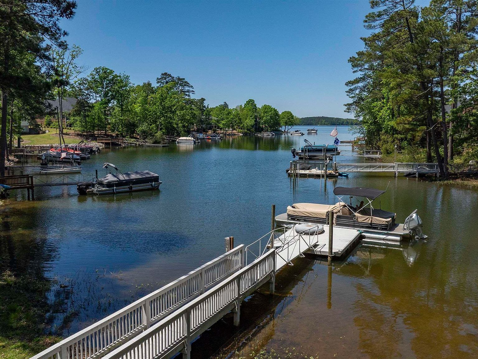 808 Island Point Ln Chapin, SC 29036 - Thumbnail 3