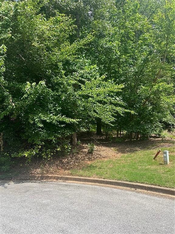 1894 Point River Dr Lot 430 Duluth, GA 30097 - Thumbnail 3