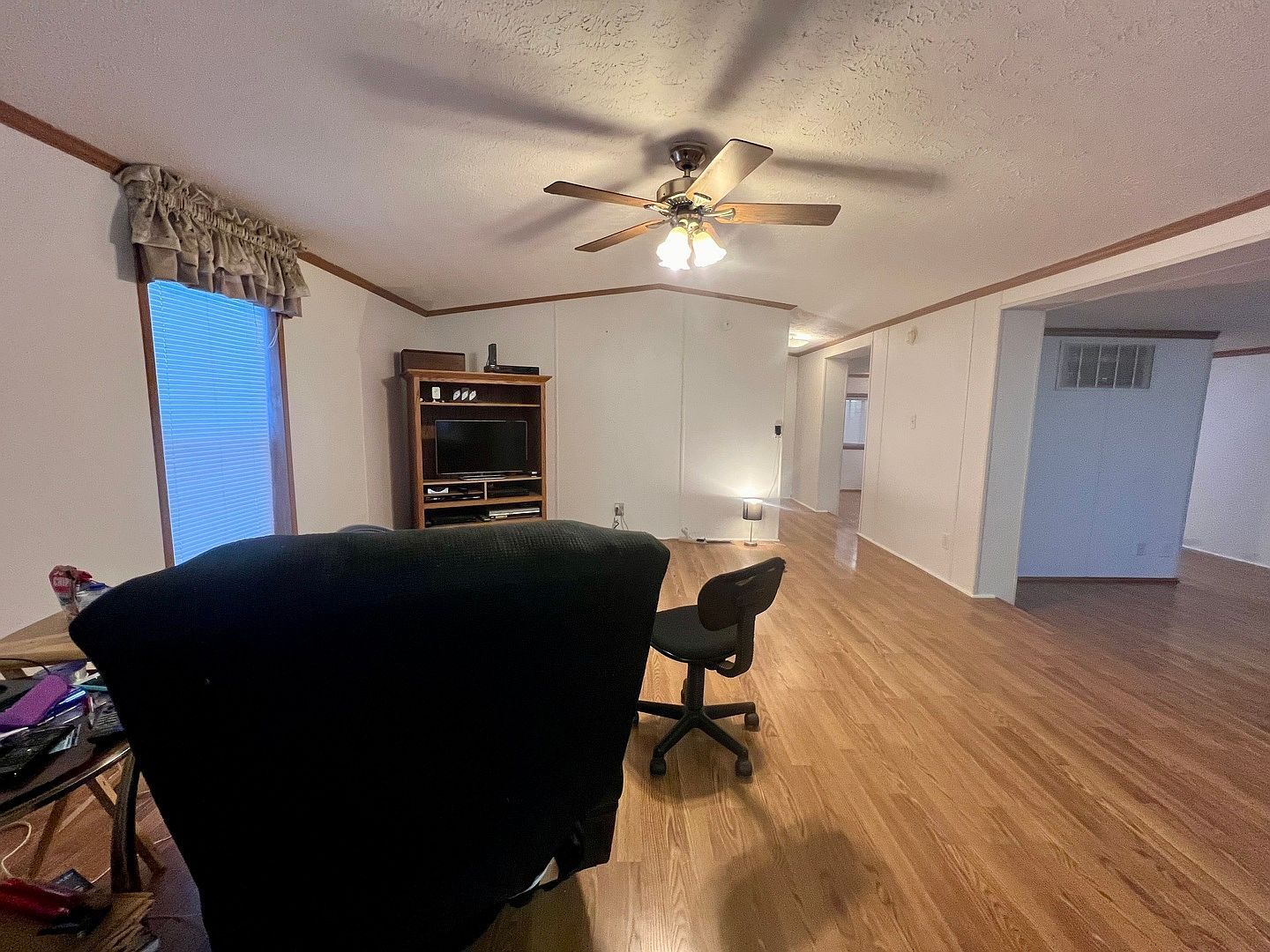 166 Randolph St Mahomet, IL 61853 - Thumbnail 3