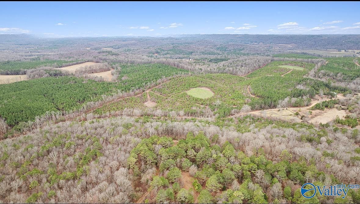 1 County Road 288 Collinsville, AL 35961 - Thumbnail 3