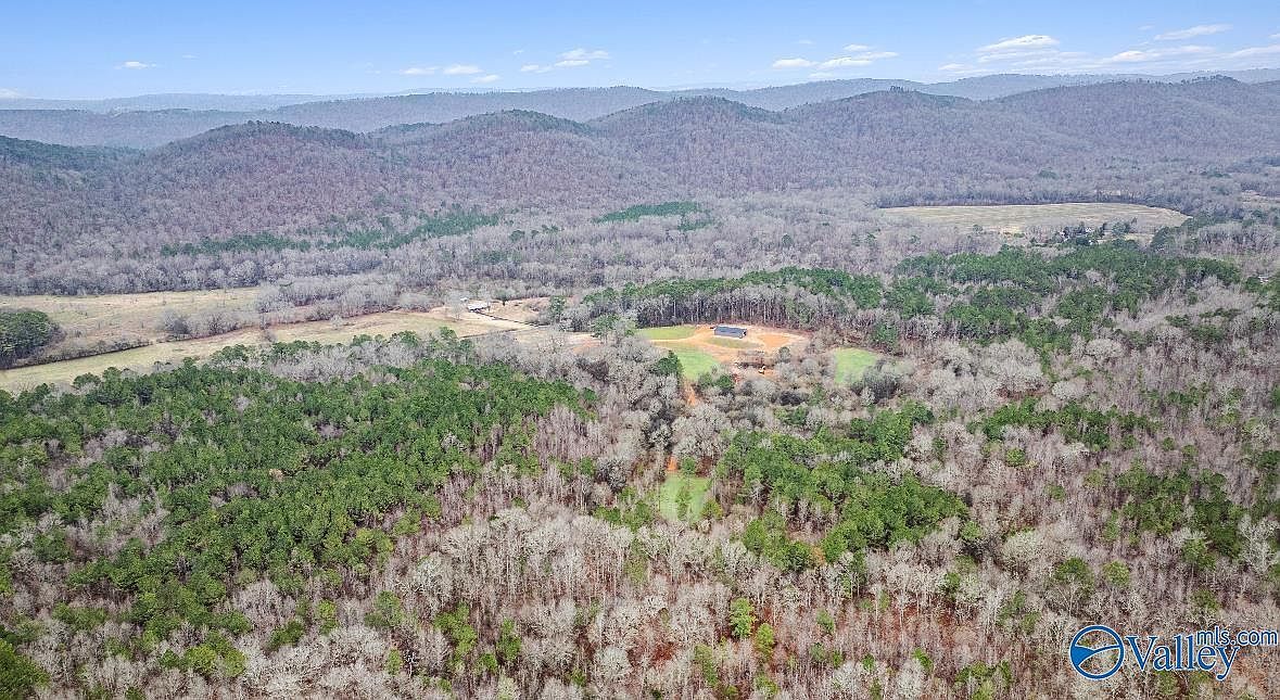 8355 Duck Springs Rd Attalla, AL 35954 - Thumbnail 3