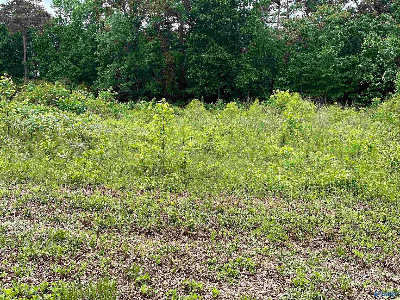 LOT 13 AND 14 Country Cove Rd Crossville, AL 35962  | Land/Lot