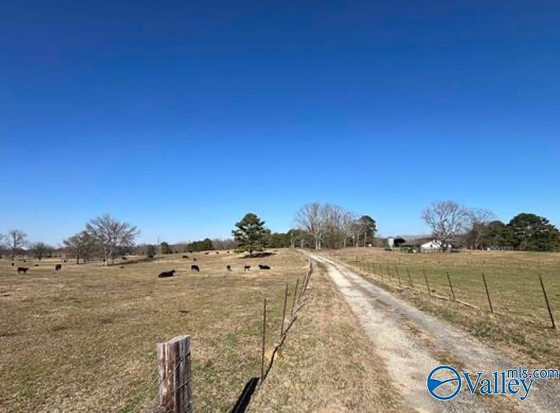 38.74 Walter Whitt Rd Boaz, AL 35956 - Thumbnail 3