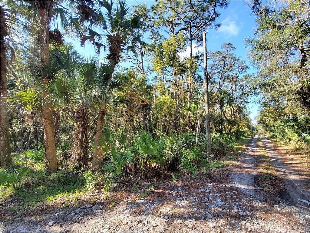 8738 Lindy Ln #2 New Pt Richey, FL 34655 - Thumbnail 3