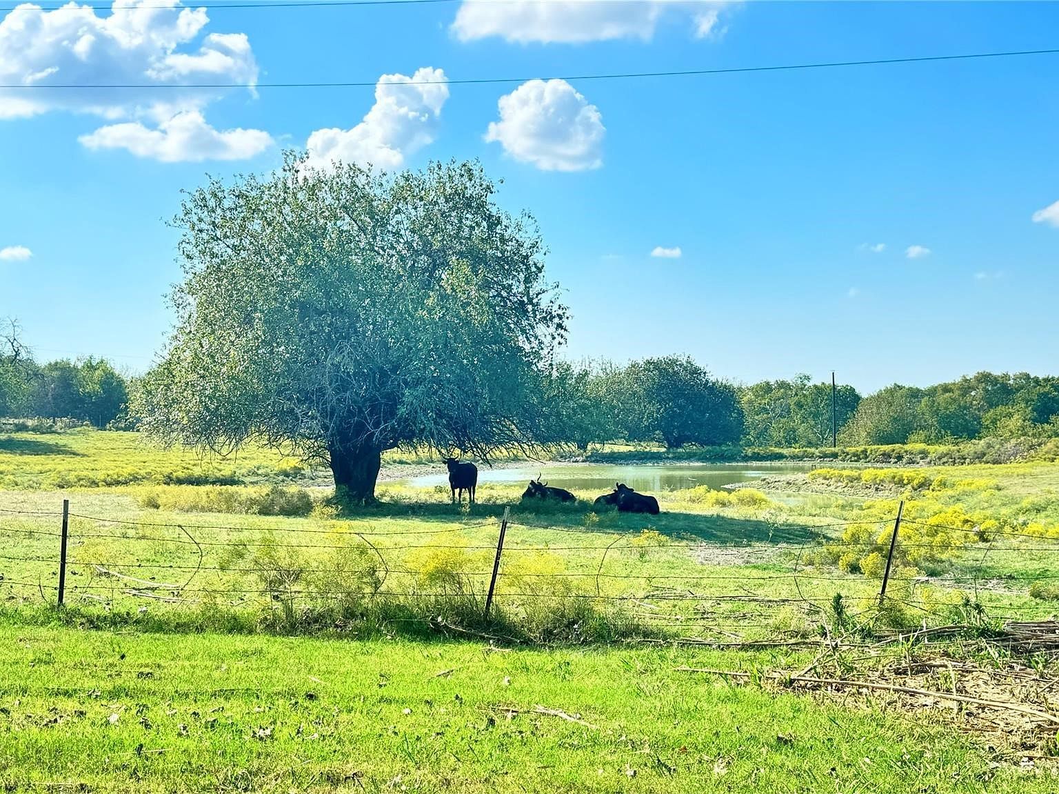 1258 County Road 352 Gainesville, TX 76240 - Thumbnail 3