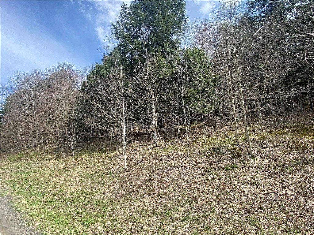 LOT A Piermott Ln #45 Hartwick, NY 13348 - Thumbnail 3