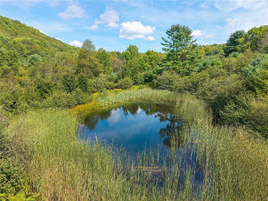 212 Morrell Rd Worcester, NY 12197 - Thumbnail 3