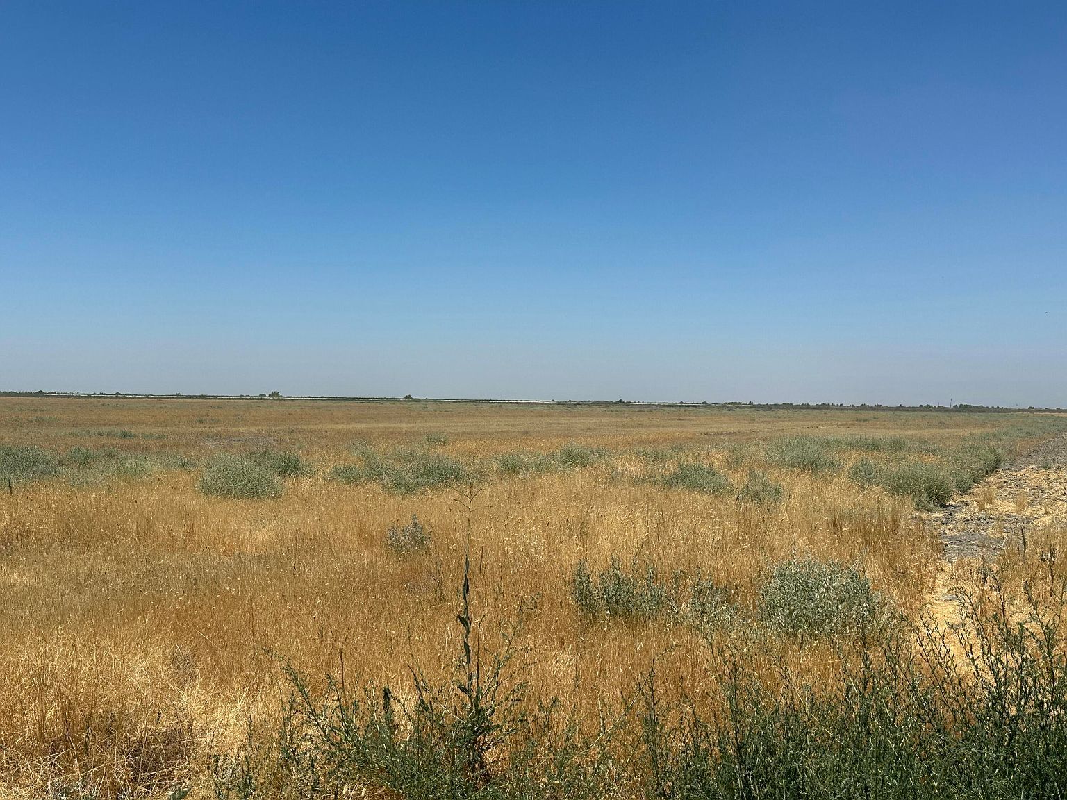 56 Avenue Alpaugh, CA 93201 - Thumbnail 3