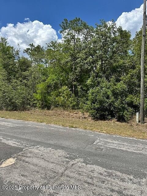 2235 W Summer Pl Citrus Springs, FL 34434 - Thumbnail 3