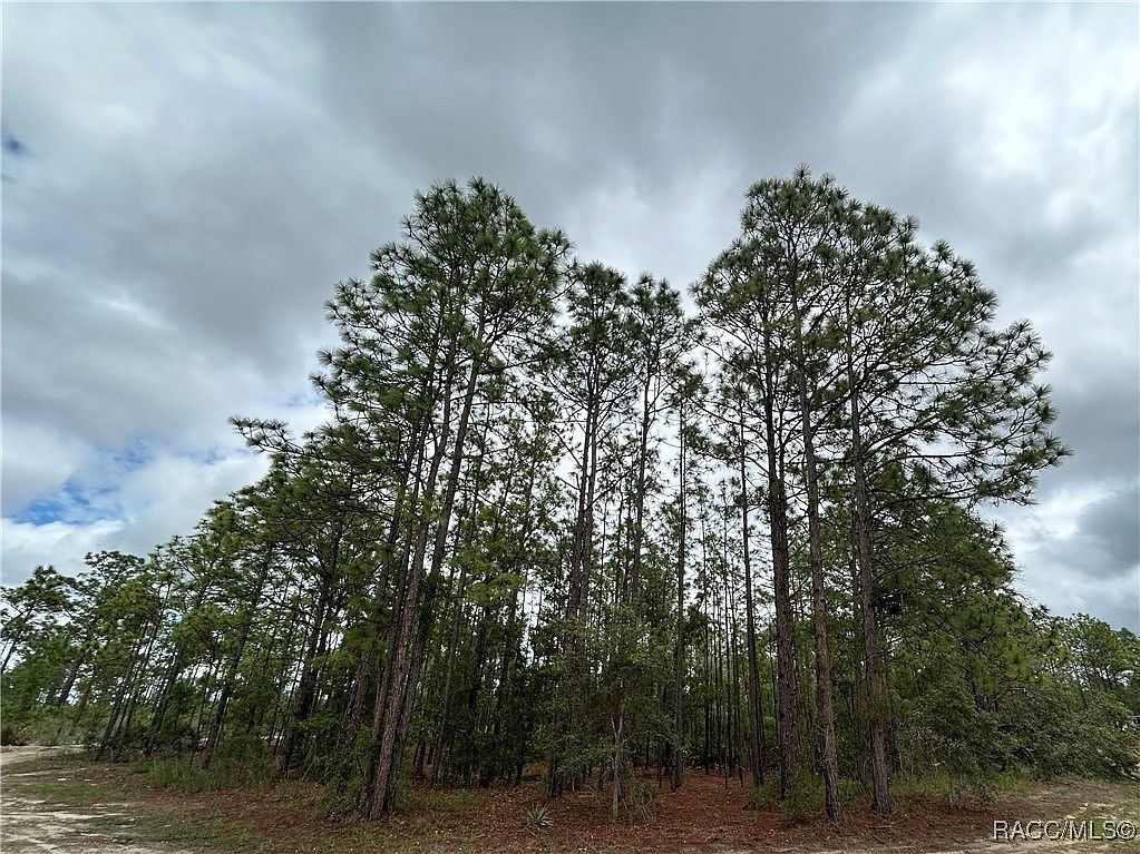 0 Mellon Rd Brooksville, FL 34614 - Thumbnail 3