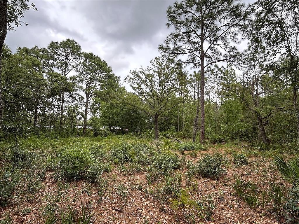 S Slash Pine Ave LOT 4 Homosassa, FL 34446 - Thumbnail 3