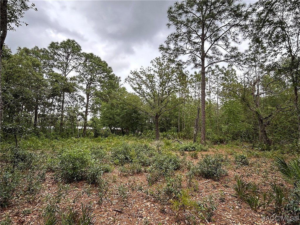 0 S Slash Pine Ave Homosassa, FL 34446 - Thumbnail 3