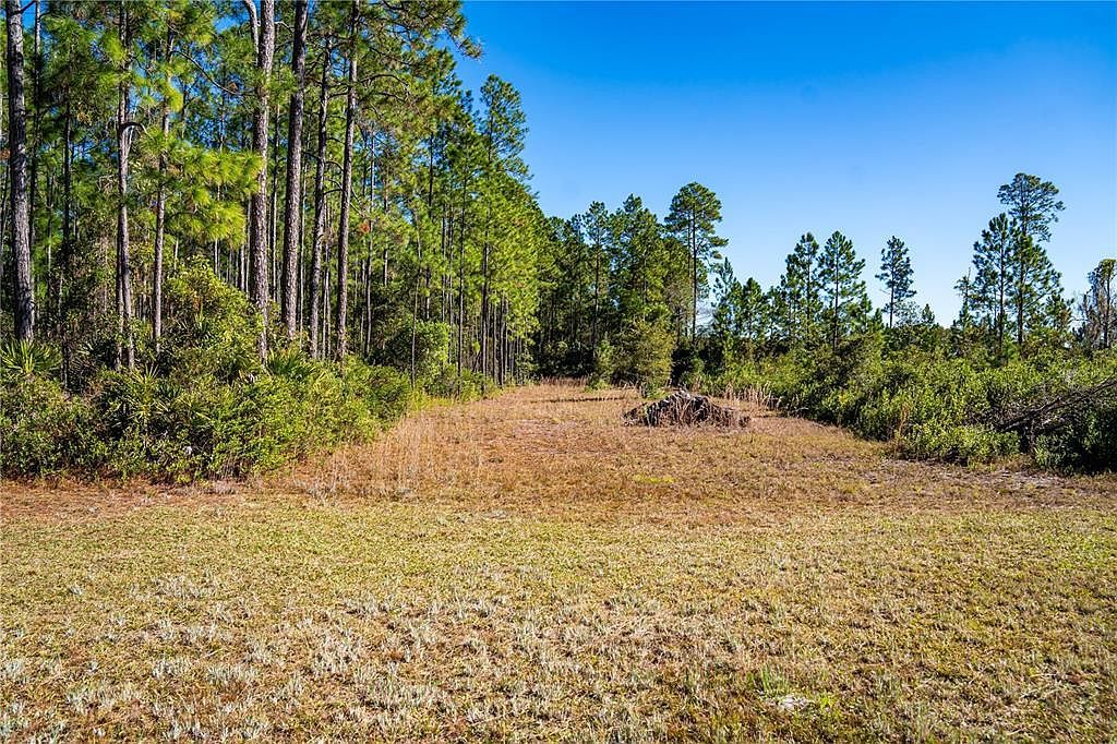 101 Thyme Dr #23 Interlachen, FL 32148 - Thumbnail 3