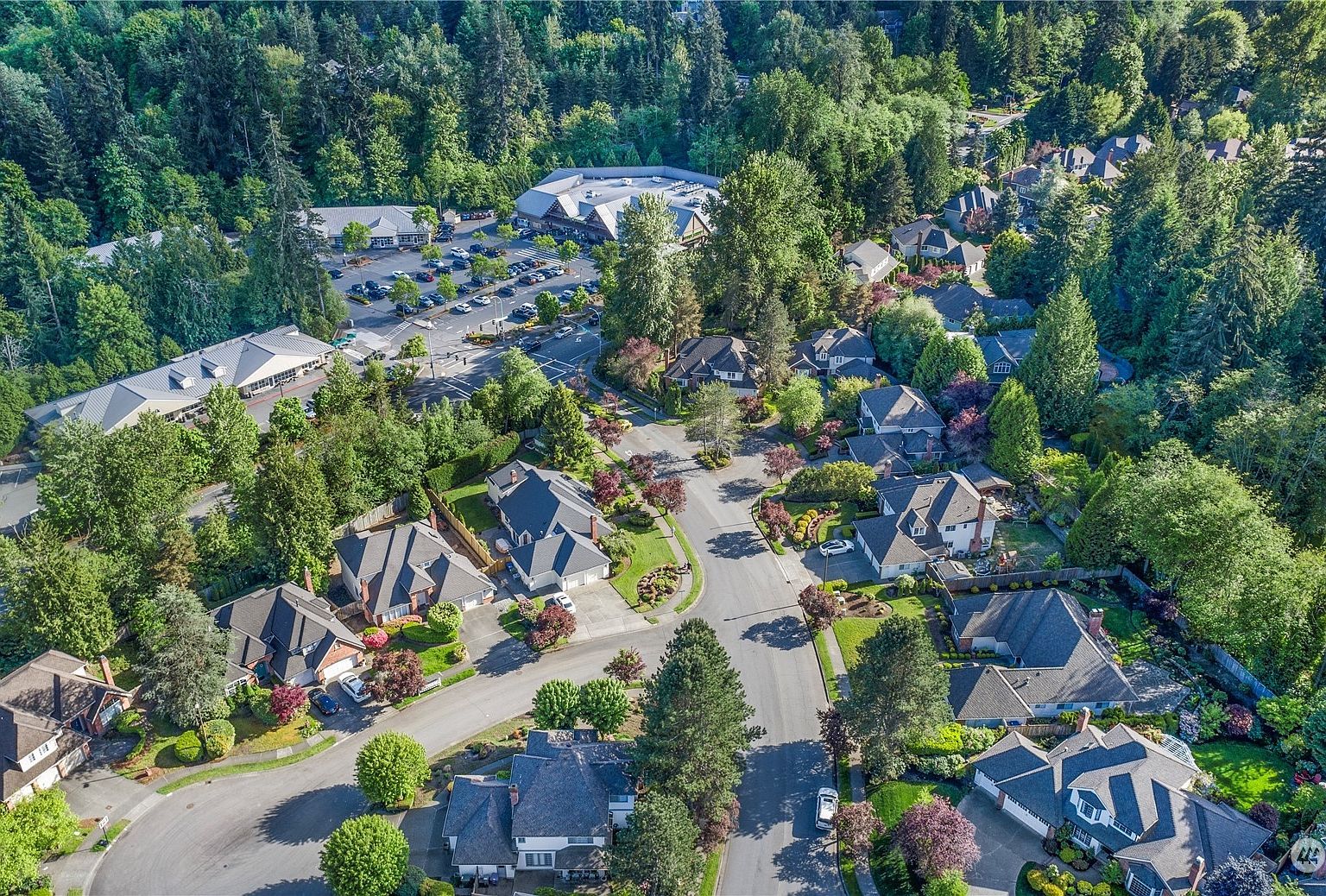 4799 171st Ave SE Bellevue, WA 98006 - Thumbnail 3