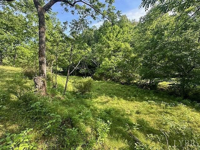 303 Harrison Creek Rd Amherst, VA 24521 - Thumbnail 3