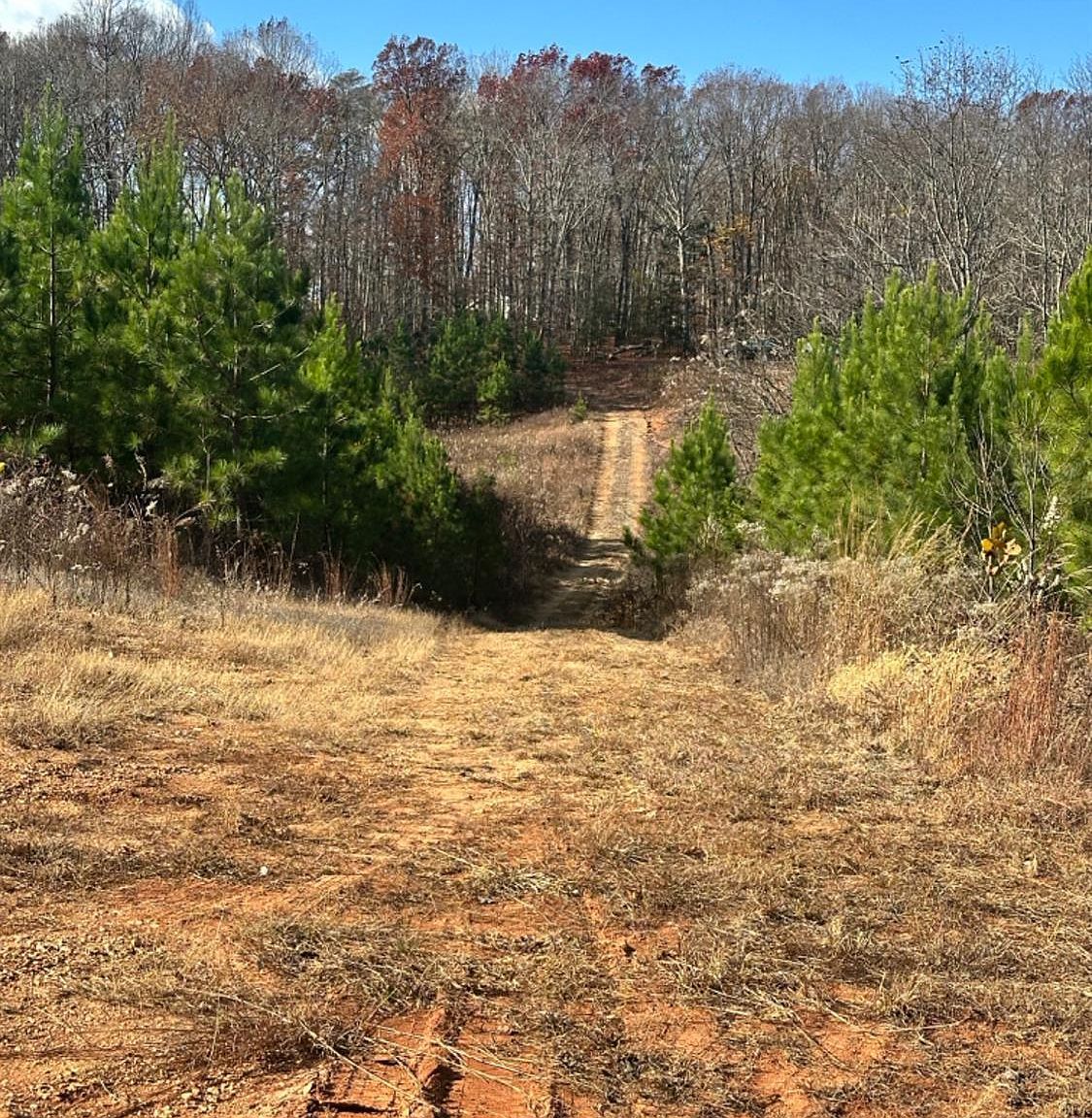 LOT -2B Police Tower Rd Appomattox, VA 24522 - Thumbnail 3