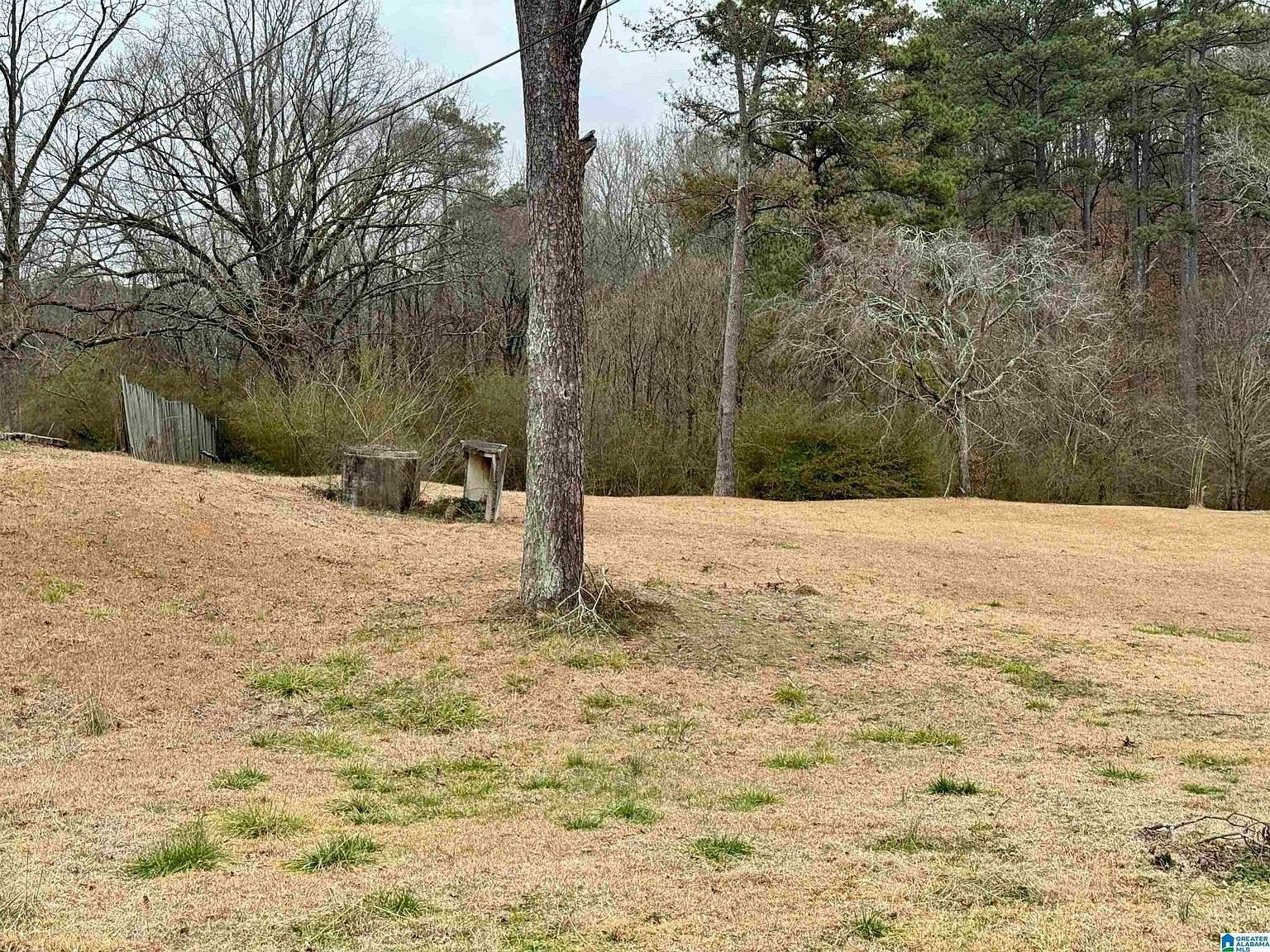 313 Belcher Hill Rd #1 Gardendale, AL 35071 | Land/Lot