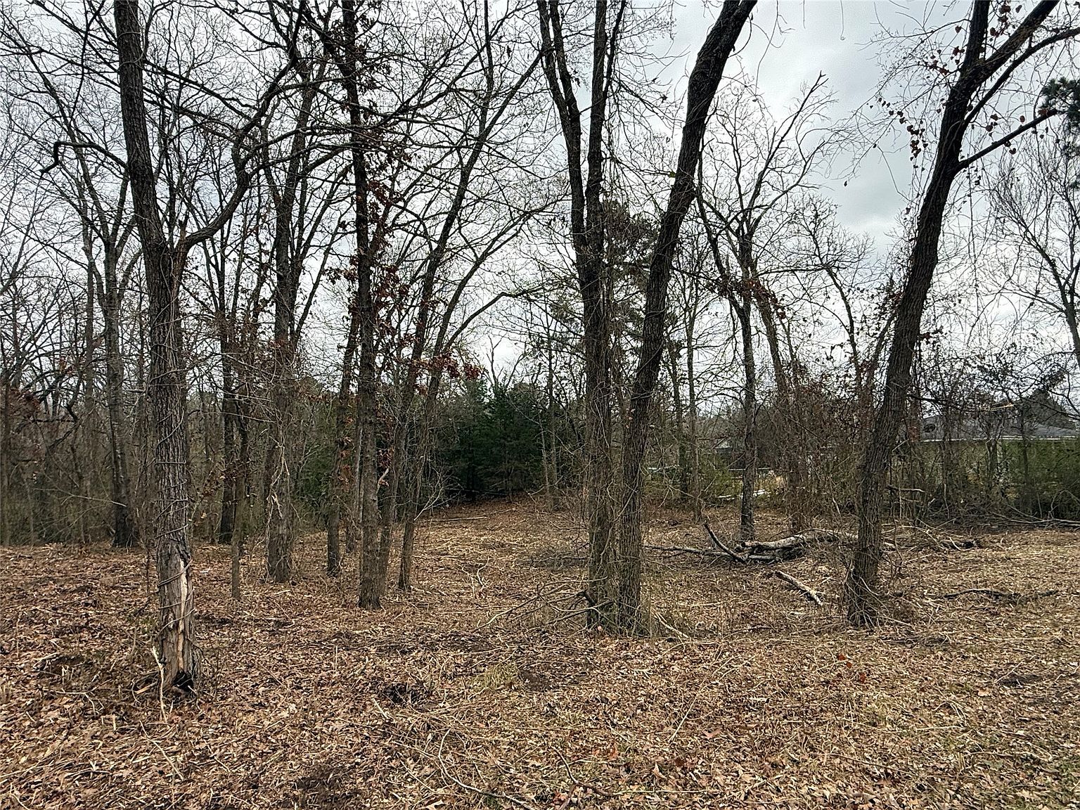 LOT 8 N Florence St Grand Saline, TX 75140 - Thumbnail 3