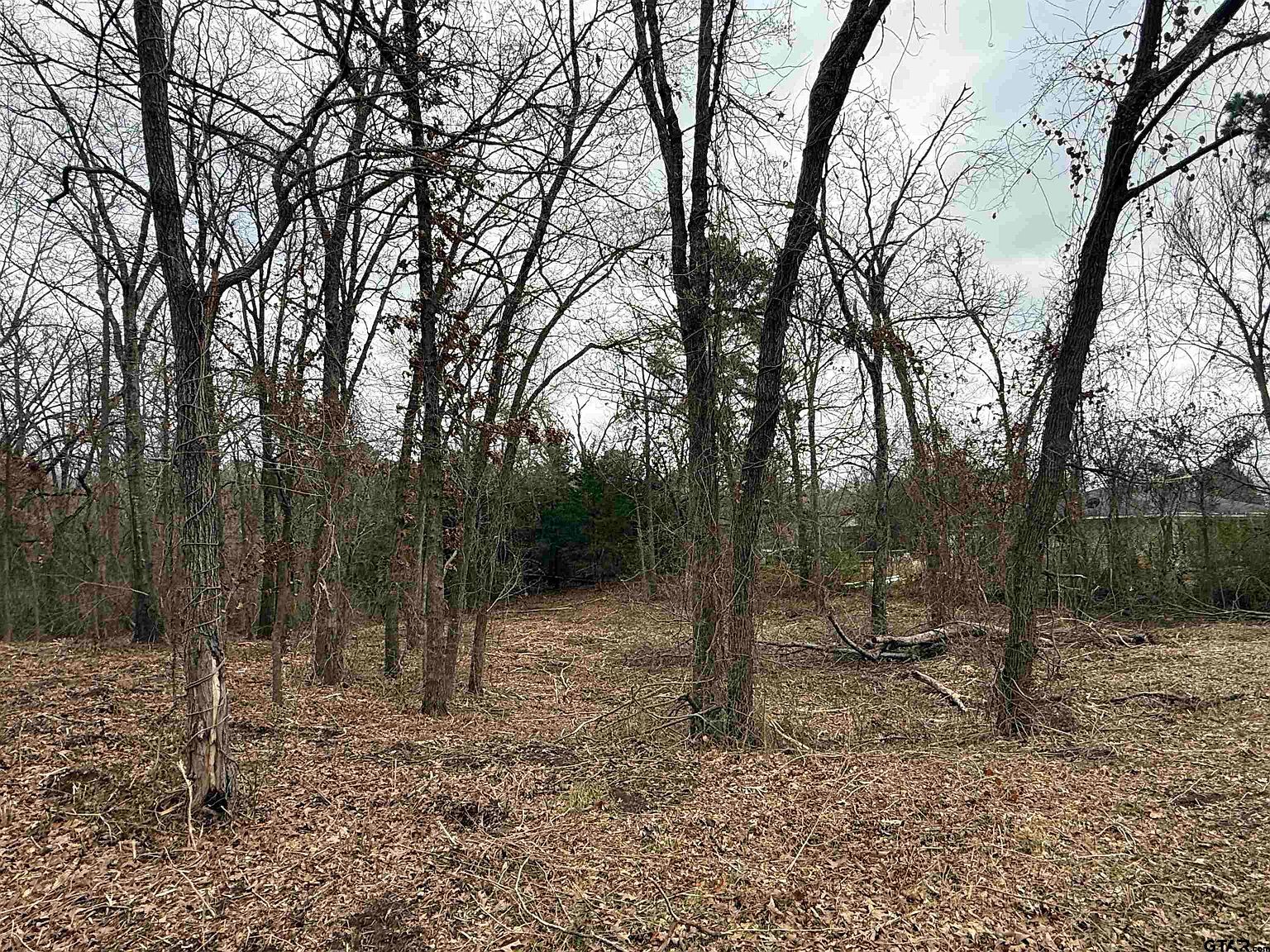 N Florence St Lot 8 Grand Saline, TX 75140 - Thumbnail 3