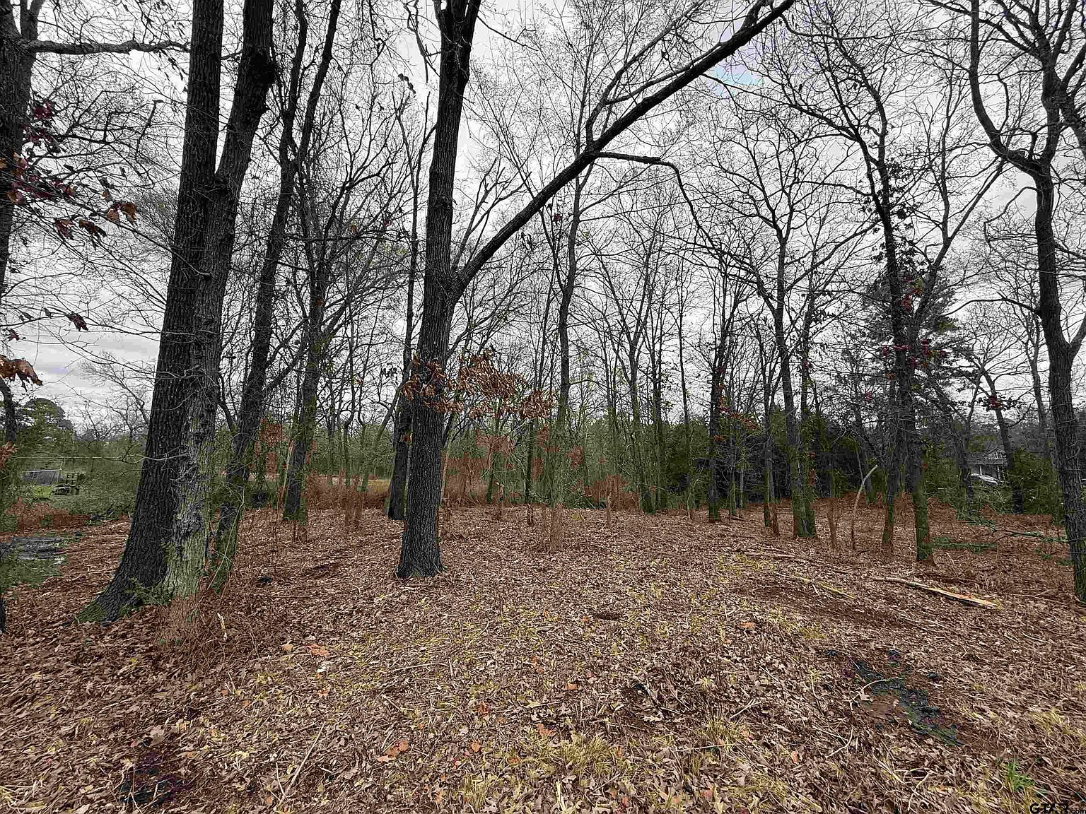 N Florence St Lot 7 Grand Saline, TX 75140 - Thumbnail 3