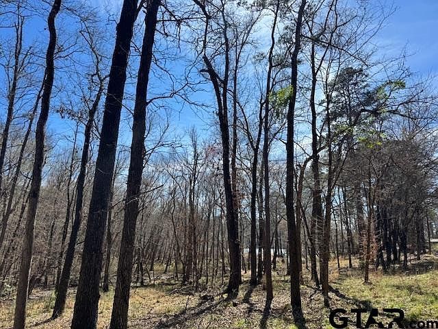 0 An County Rd #319 Frankston, TX 75763 - Thumbnail 3