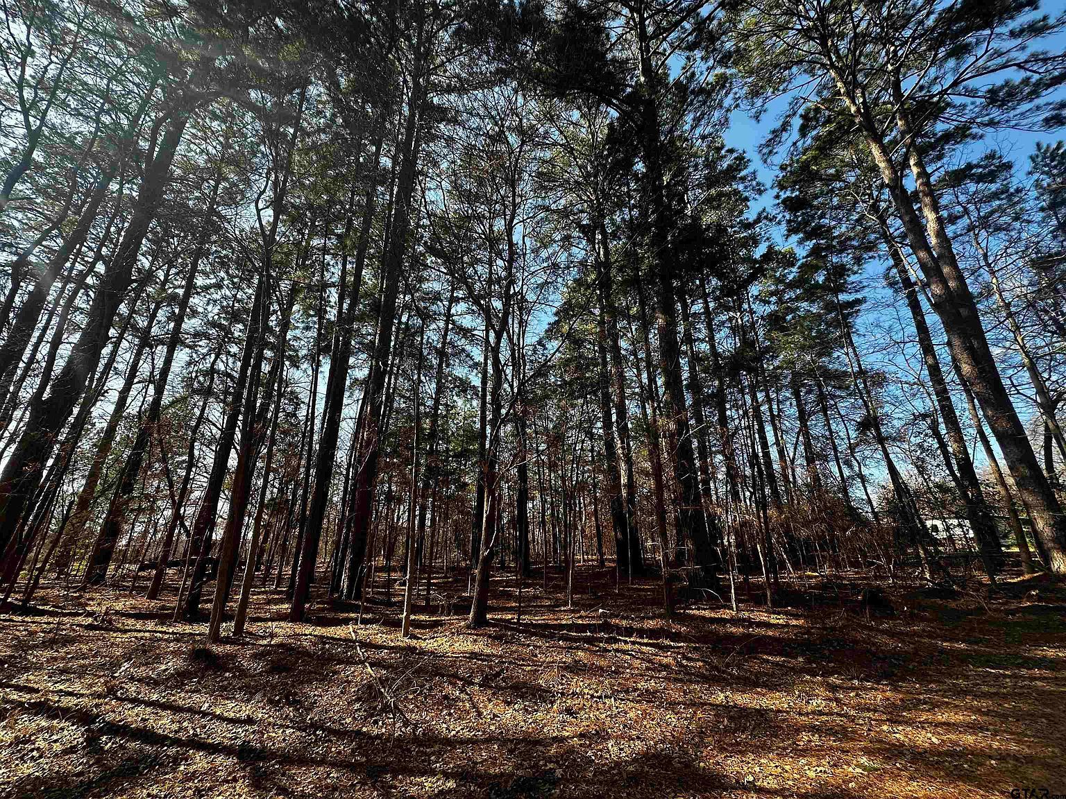 163 San Marcos St Bullard, TX 75757 - Thumbnail 3