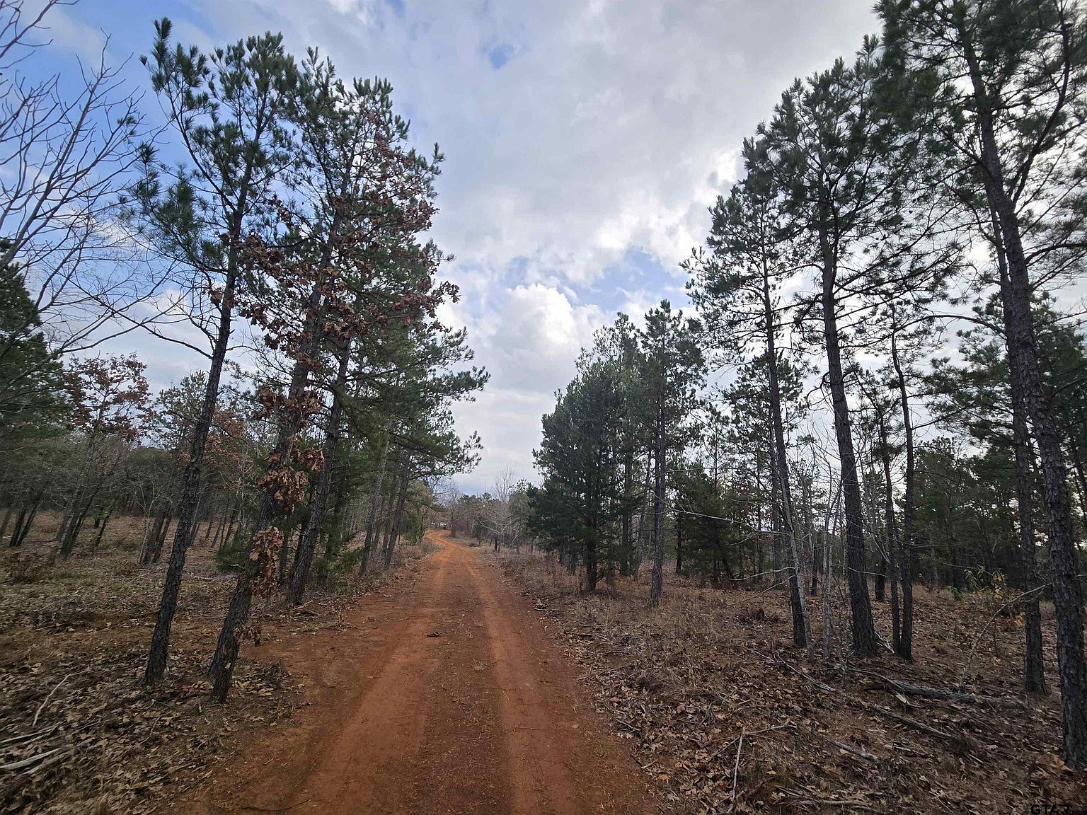 County Road 15 Acres #323 Lindale, TX 75771 - Thumbnail 3