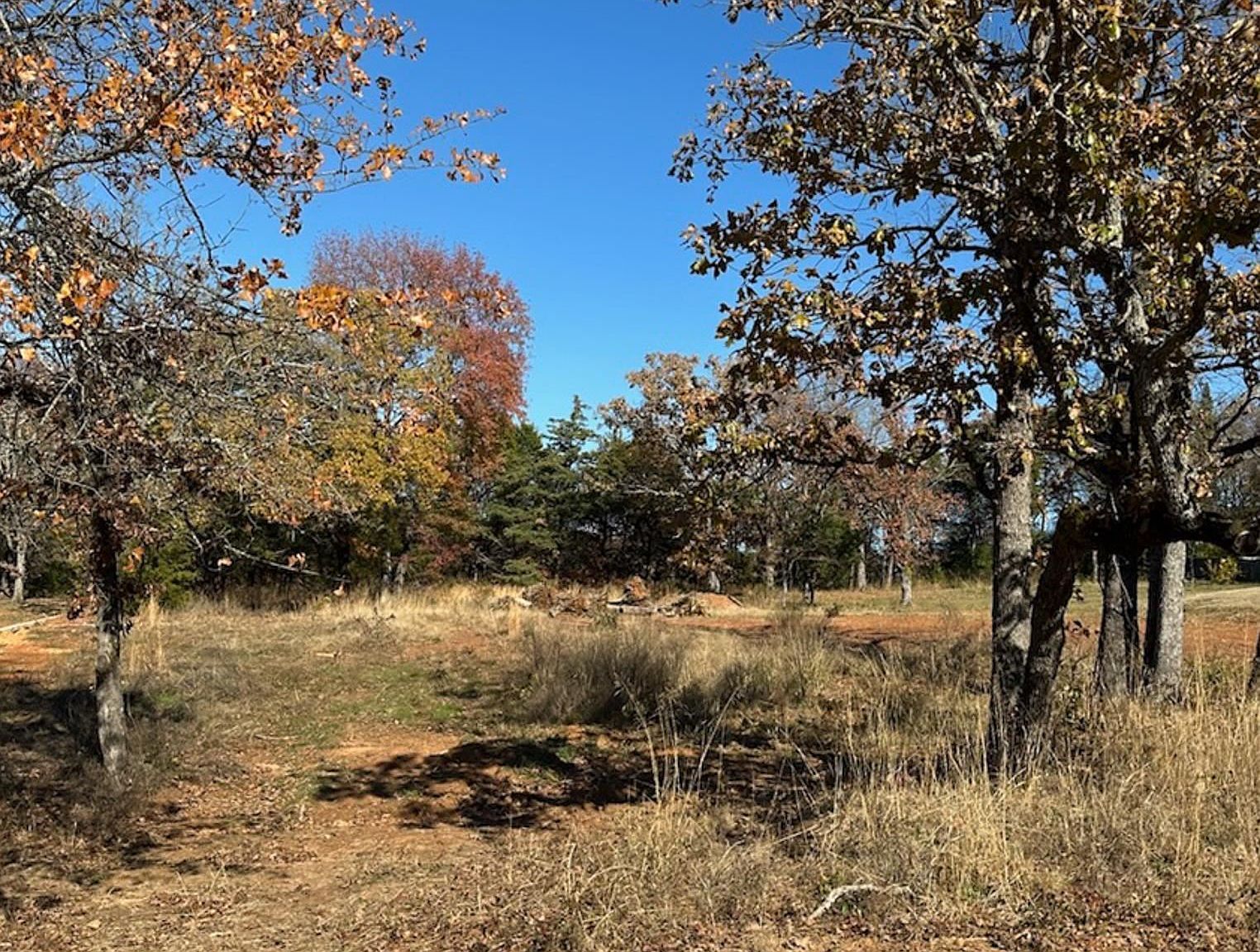 19688 Dove Ridge Dr Lindale, TX 75771 - Thumbnail 3