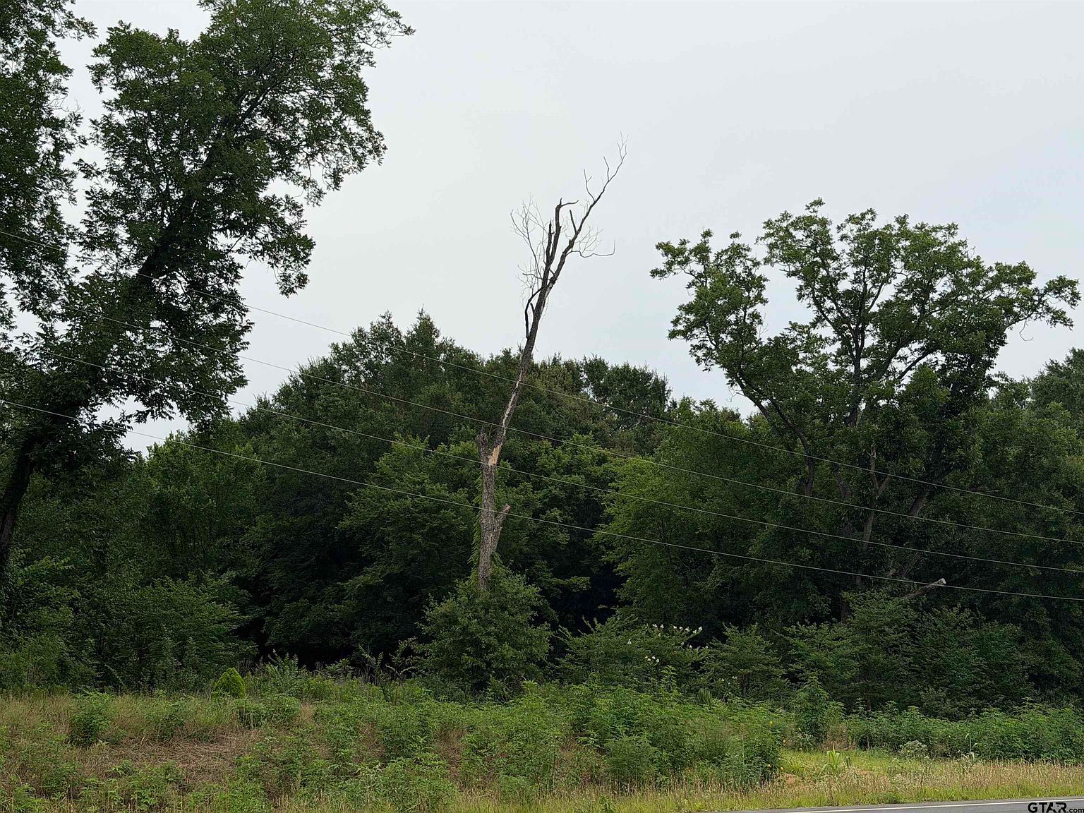 18171 Fm 16 Lot 6 Lindale, TX 75771 - Thumbnail 3