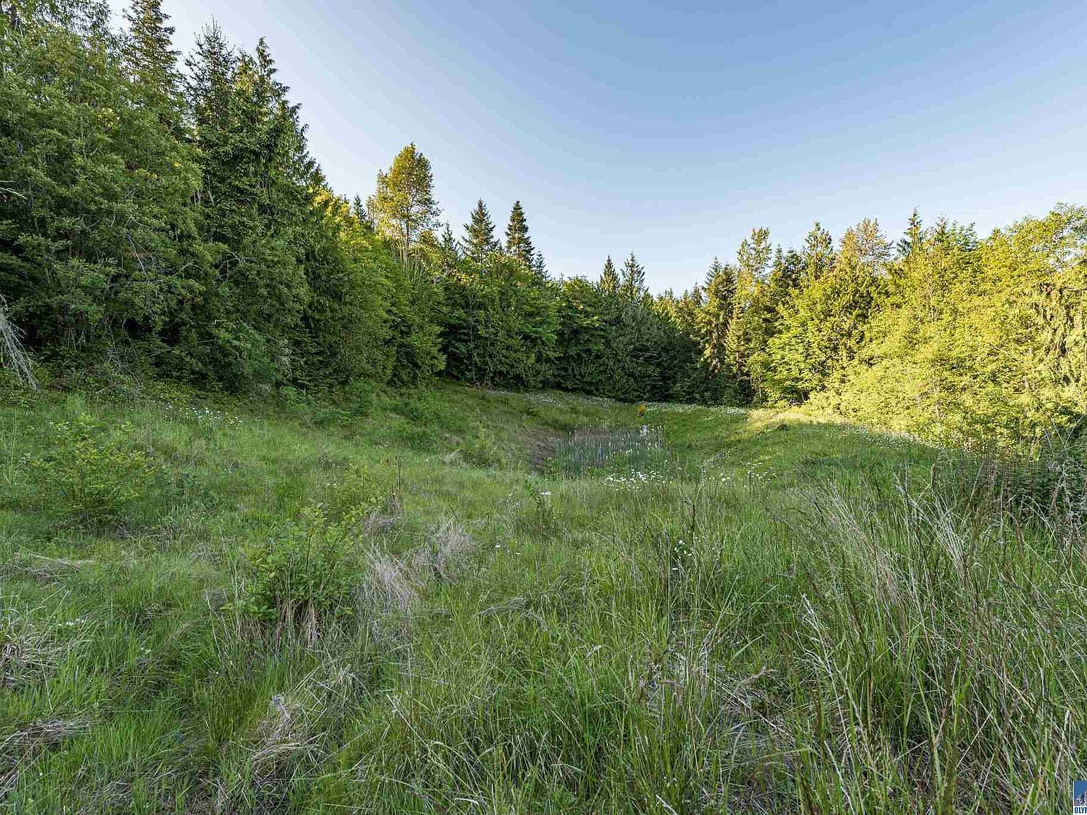 9999 Elk Pass Rd Sequim, WA 98382 - Thumbnail 3