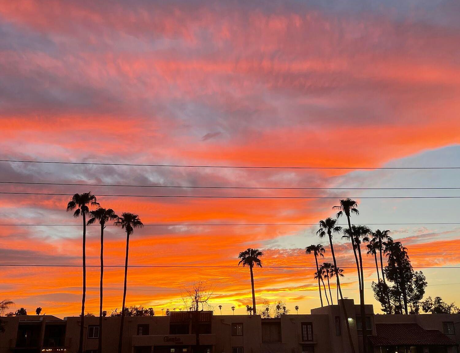 3313 N 68th St UNIT 203 Scottsdale, AZ 85251 - Thumbnail 3