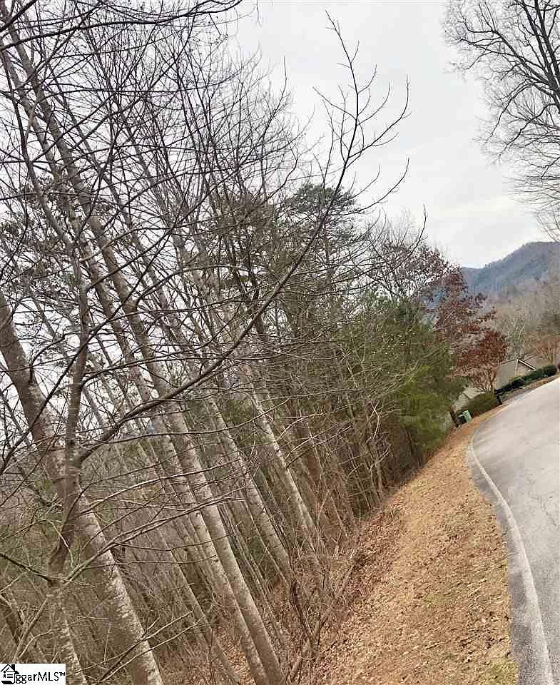 305 Sedgewick Rd Travelers Rest, SC 29690 - Thumbnail 3