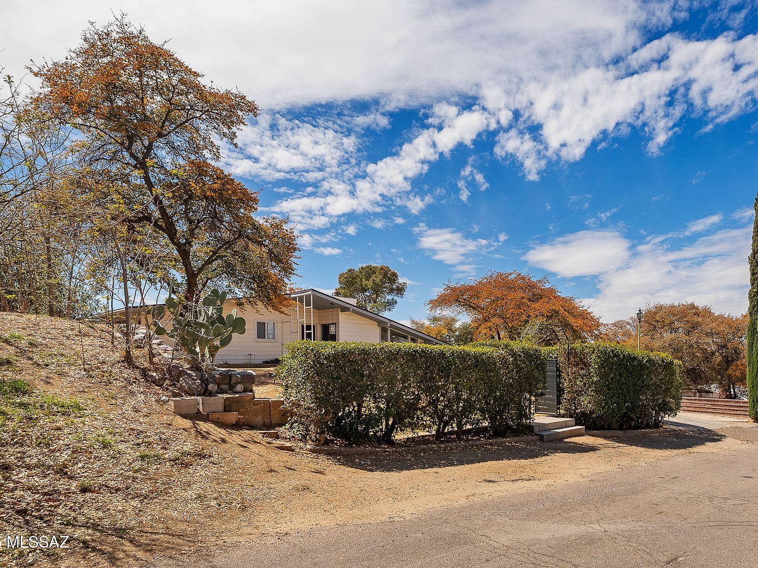 615 W Camino Yucca Oracle, AZ 85623 - Thumbnail 3