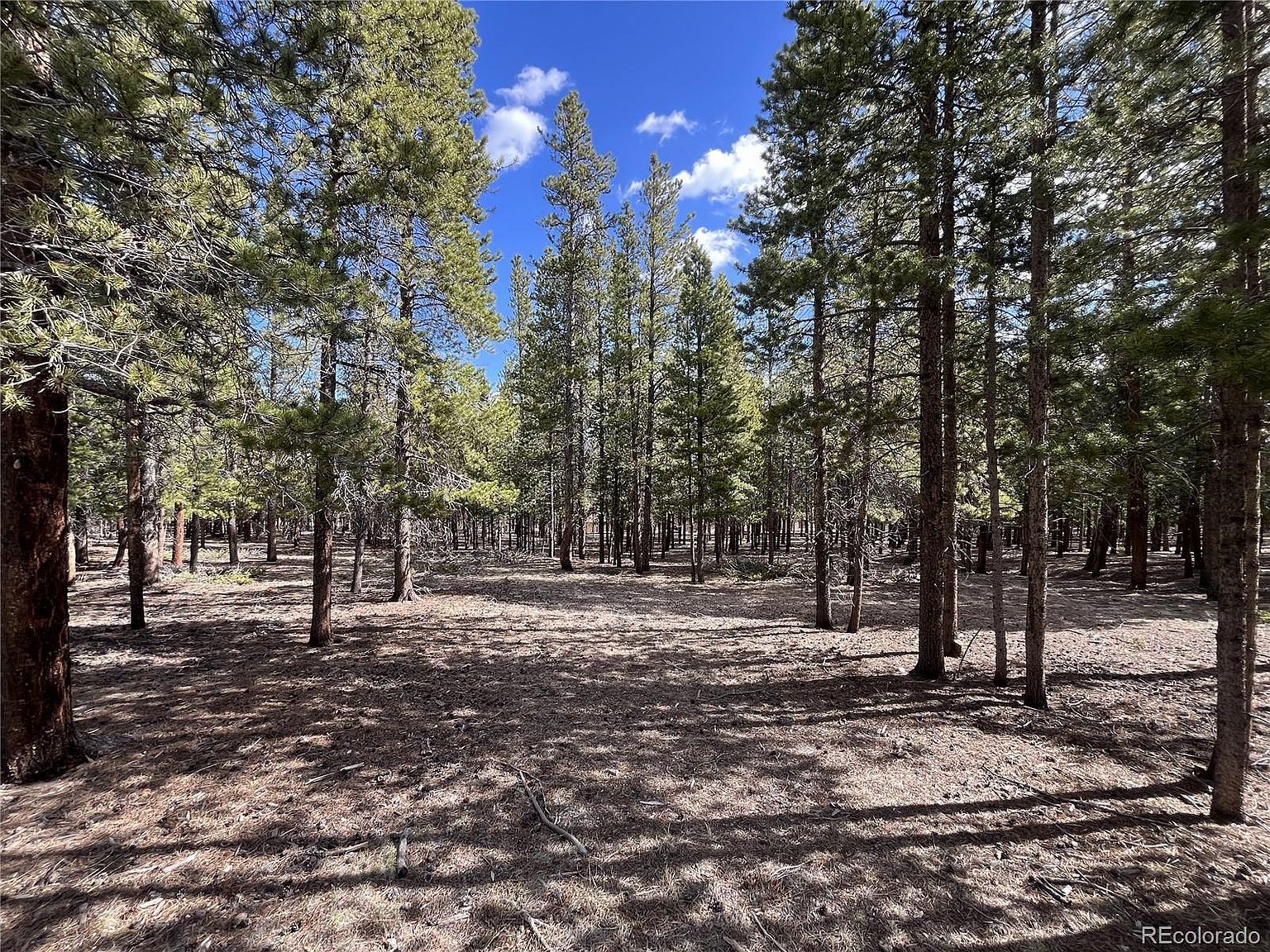 30336 National Forest Dr #21 Buena Vista, CO 81211 - Thumbnail 3