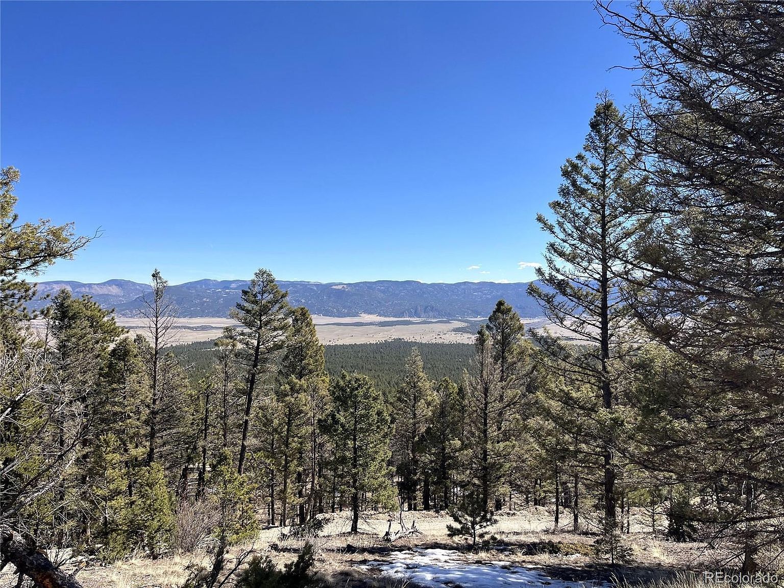 16872 County Road 325 Buena Vista, CO 81211 - Thumbnail 3