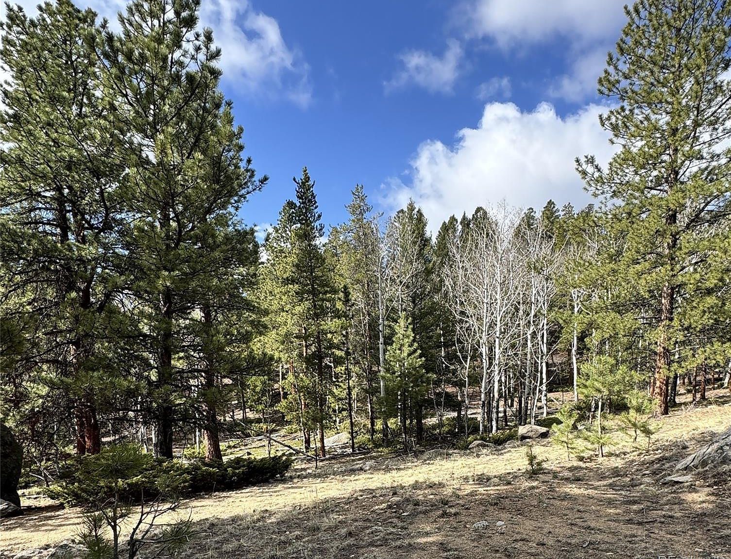 30317 Aspen Turn #26 Buena Vista, CO 81211 - Thumbnail 3