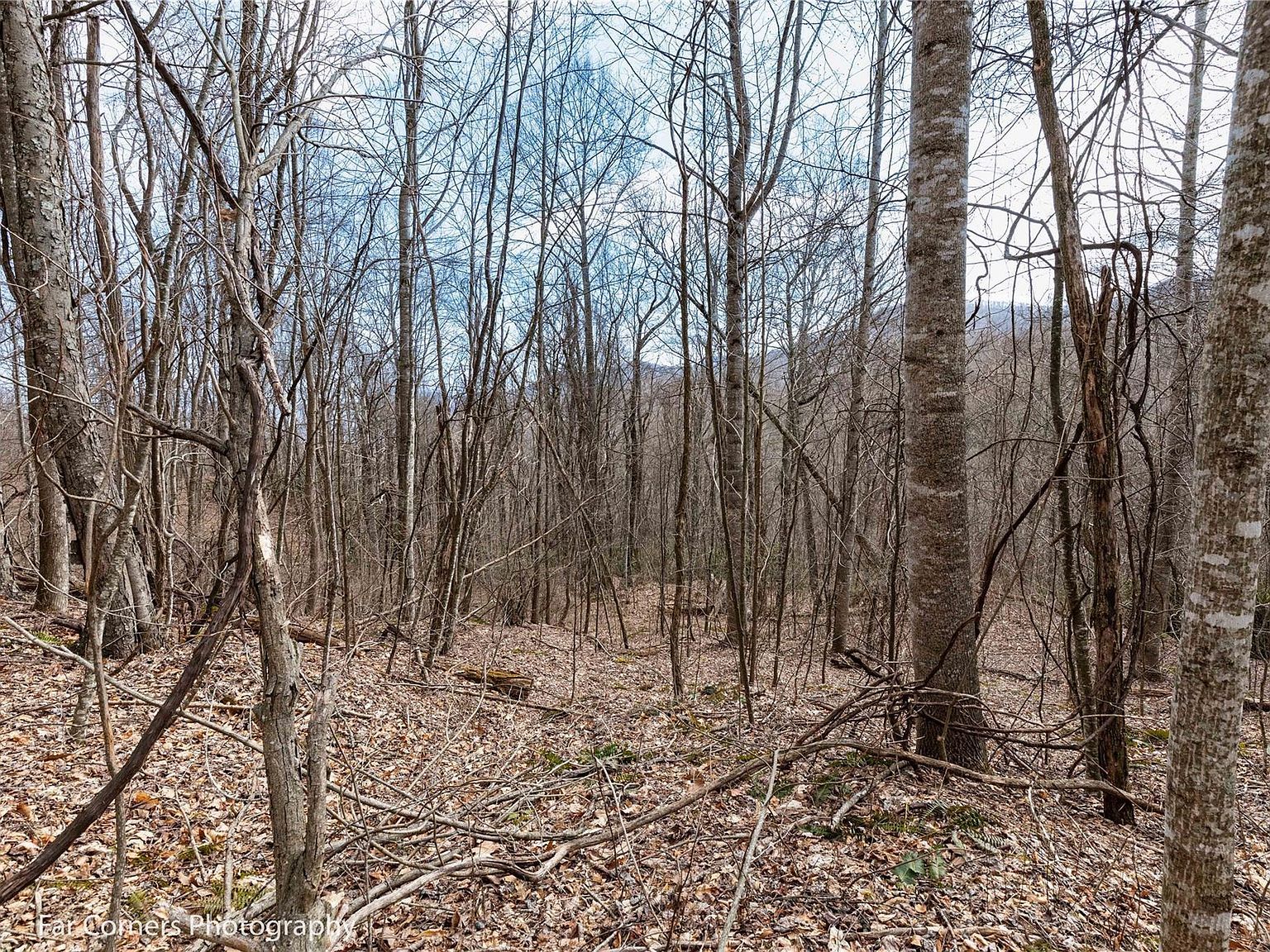 9 Chandra Ln Clyde, NC 28721 - Thumbnail 3