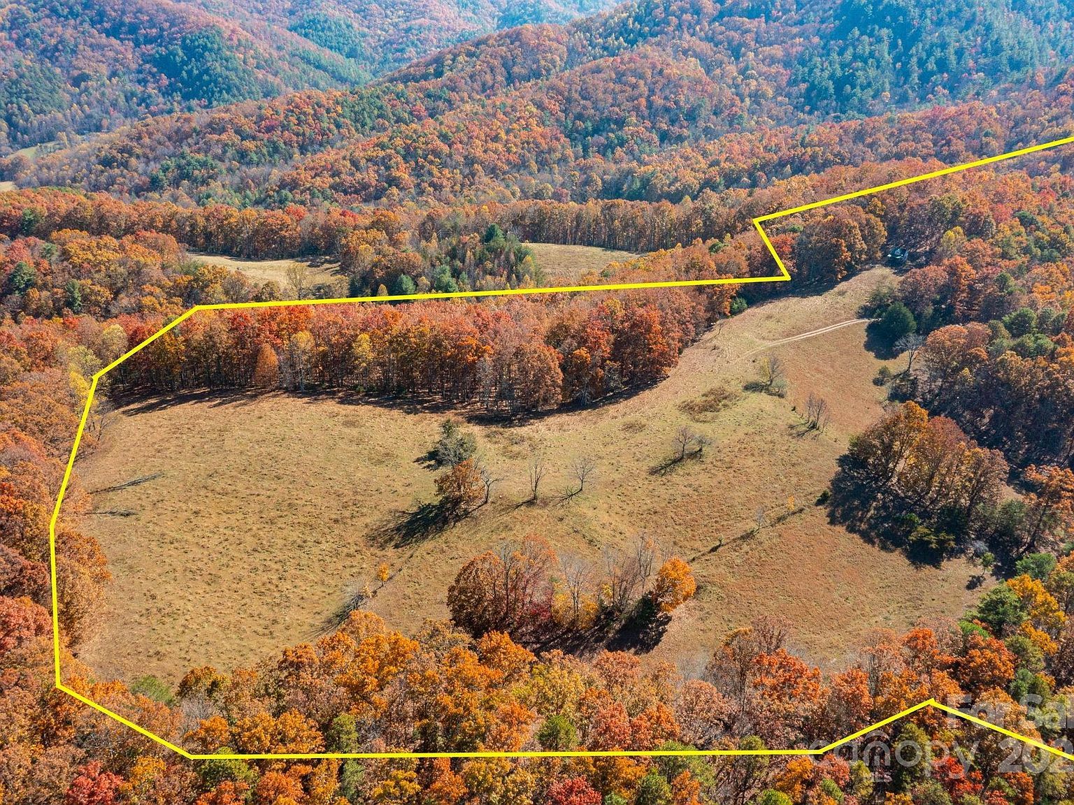 671 Island Hollow Rd Hot Springs, NC 28743 - Thumbnail 3