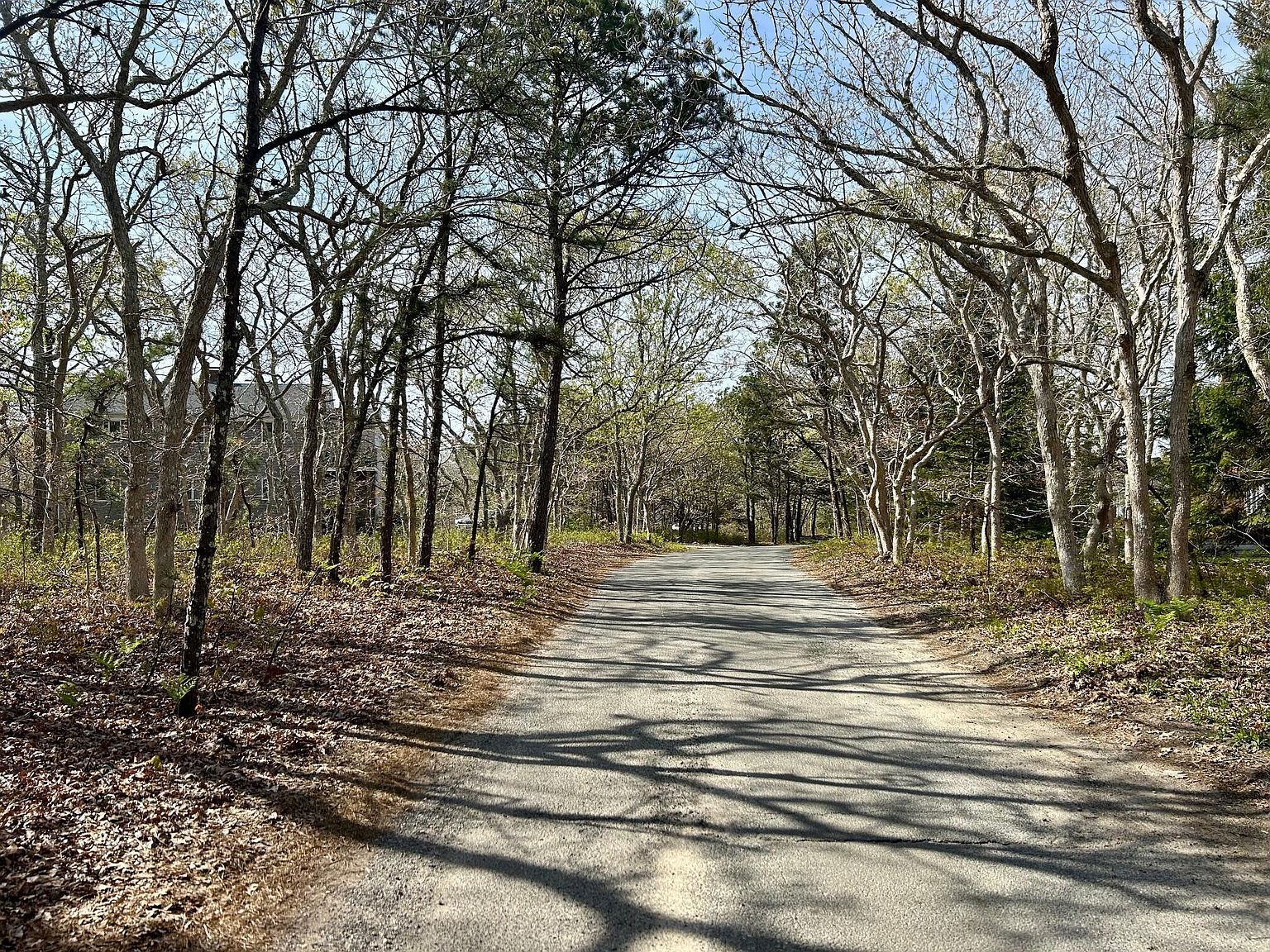 11 Boylston Dr Edgartown, MA 02539 - Thumbnail 3