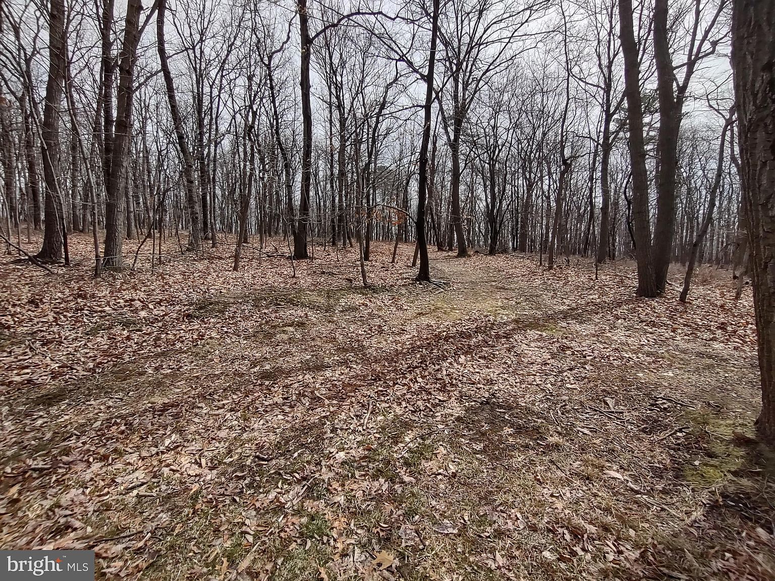 LOT Cold Springs Rd Dillsburg, PA 17019 - Thumbnail 3