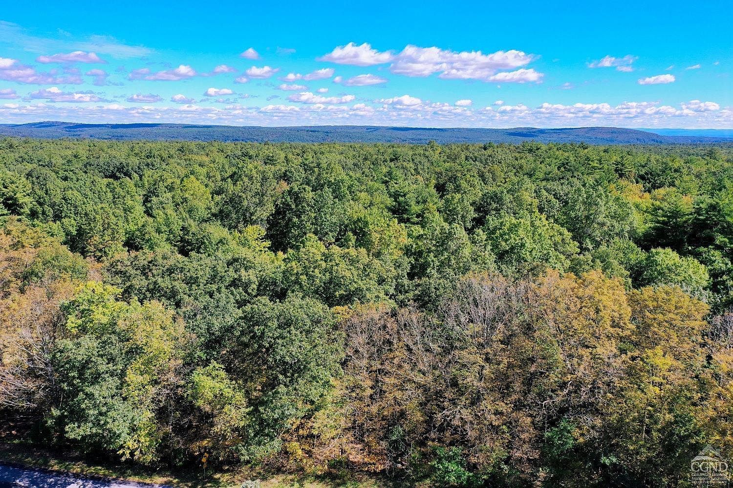 204 Joel M Austin Rd Cairo, NY 12413 - Thumbnail 3