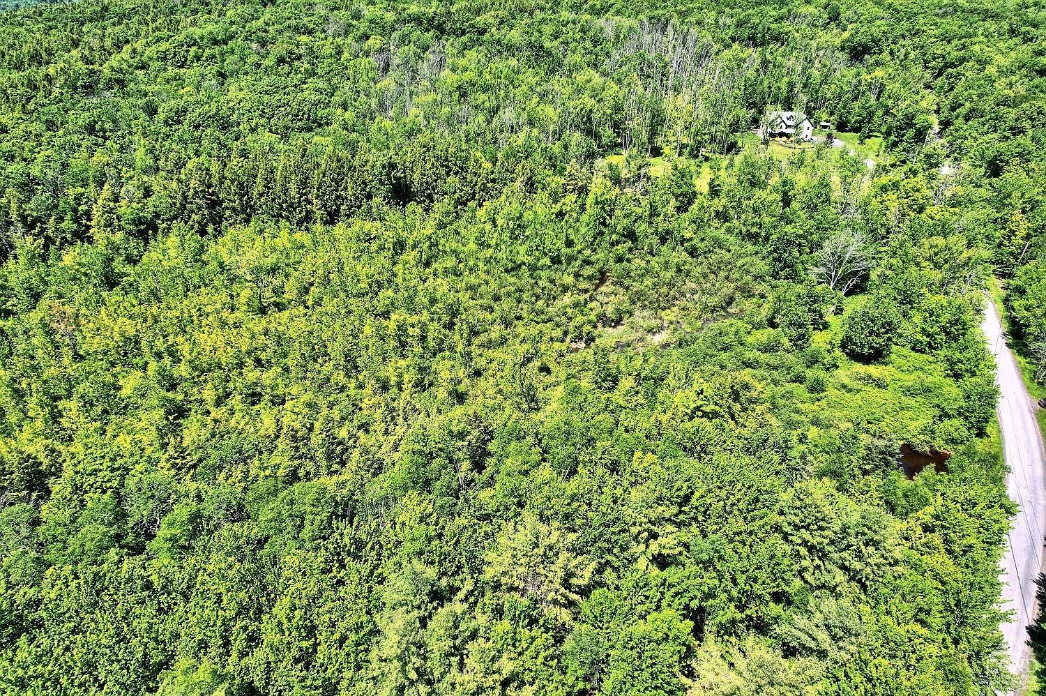 383 Begley Rd Windham, NY 12496 - Thumbnail 3