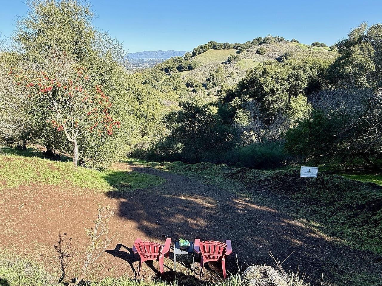 22304 Regnart Rd Cupertino, CA 95014 - Thumbnail 3