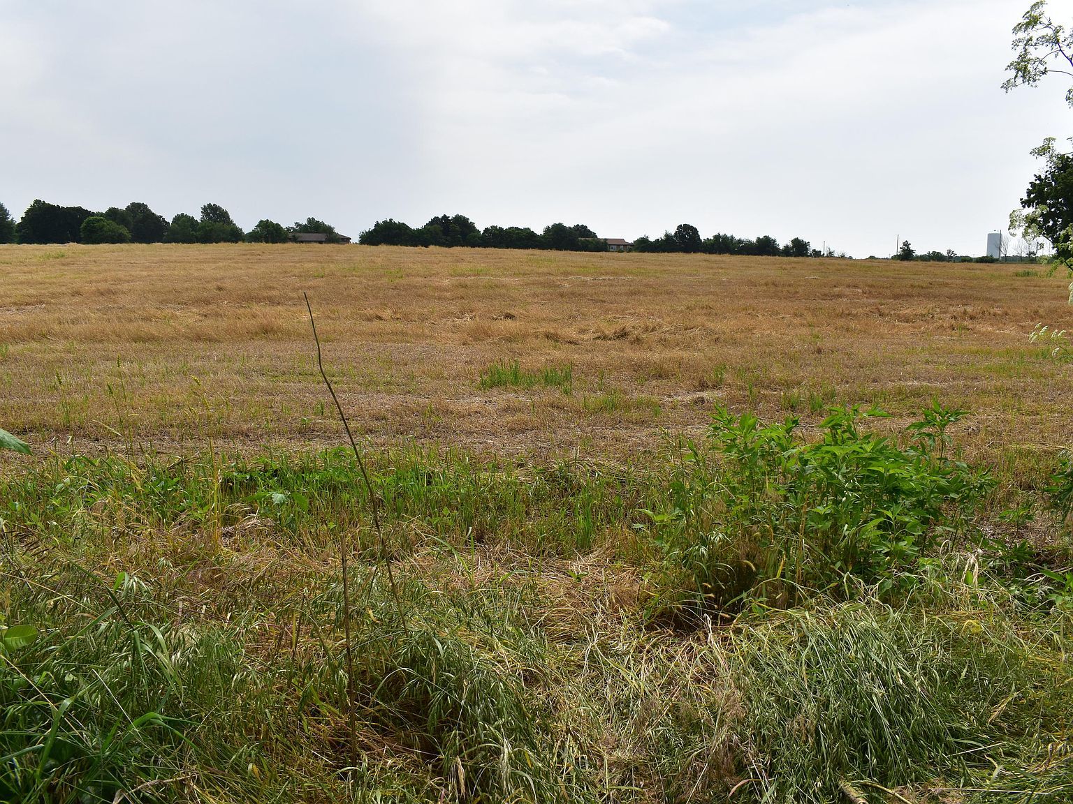 South Eisenhower Monett, MO 65708 - Thumbnail 3