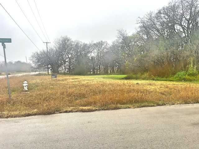 600 South Delphine Street, Terrell, TX, USA, 75160 - Thumbnail 4