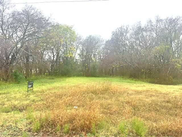 602 South Delphine Street, Terrell, TX, USA, 75160