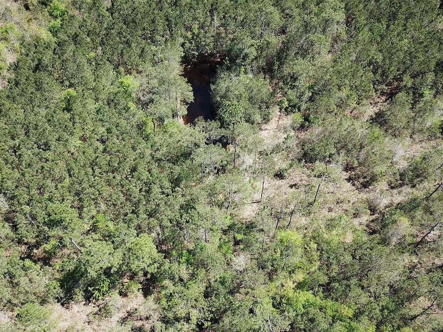 0 Langham Rd, Kountze, TX, 77625 - Thumbnail 3